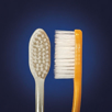 Picture of EURO TECH Ultra Fine Toothbrush - 72  CT
