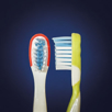 Kids Buddy Bulk Toothbrush Power point bristle tip