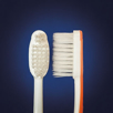 Picture of ESPRIT ULTRA-FINE Toothbrush - 72/box