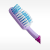 Flexible full size head radius trim bristles SOFT FLEX bulk toothbrushes