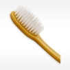 Micofine bristles on EURO TECH Flossing Toothbrush bulk toothbrushes