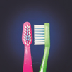 Detail profile of Quantum Labs Pedo Kids Bulk Toothbrush
