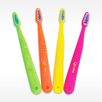 Quantum Labs Pedo Kids Bulk Toothbrush Assorted Bright Colors