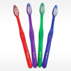 POWER POINT assorted colored pearlized handles bulk toothbrush