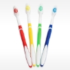 Bulk Packaged Toothbrush with Toothpaste sold individually wrapped in 4 colors red yellow green and blue