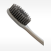 Activated Charcoal Flossing Bristles of Euro Tech charcoal Toothbrush