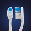 Detail of soft bristles and power point head of Dolphin Shaped Bulk Kids Toothbrush