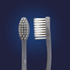 Close up of Compact head Soft Euro Tech Compact Head Bulk Toothbrush for Junior and Adult